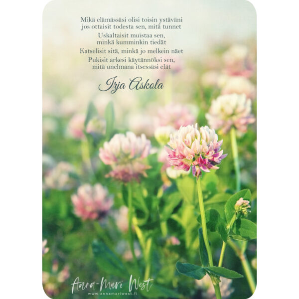 Kortti – Mikä elämässäsi olisi toisin