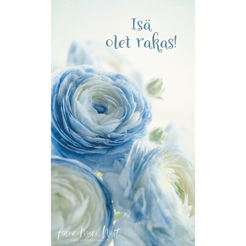 vaaleansininen jaloleinikki