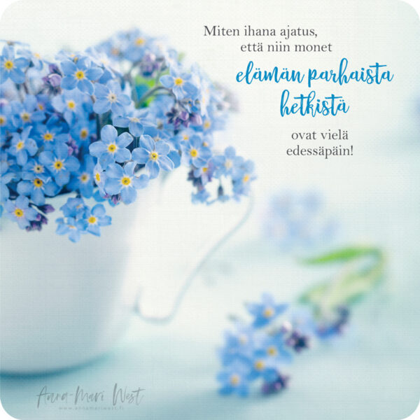 lemmikki vaaleansininen kukka