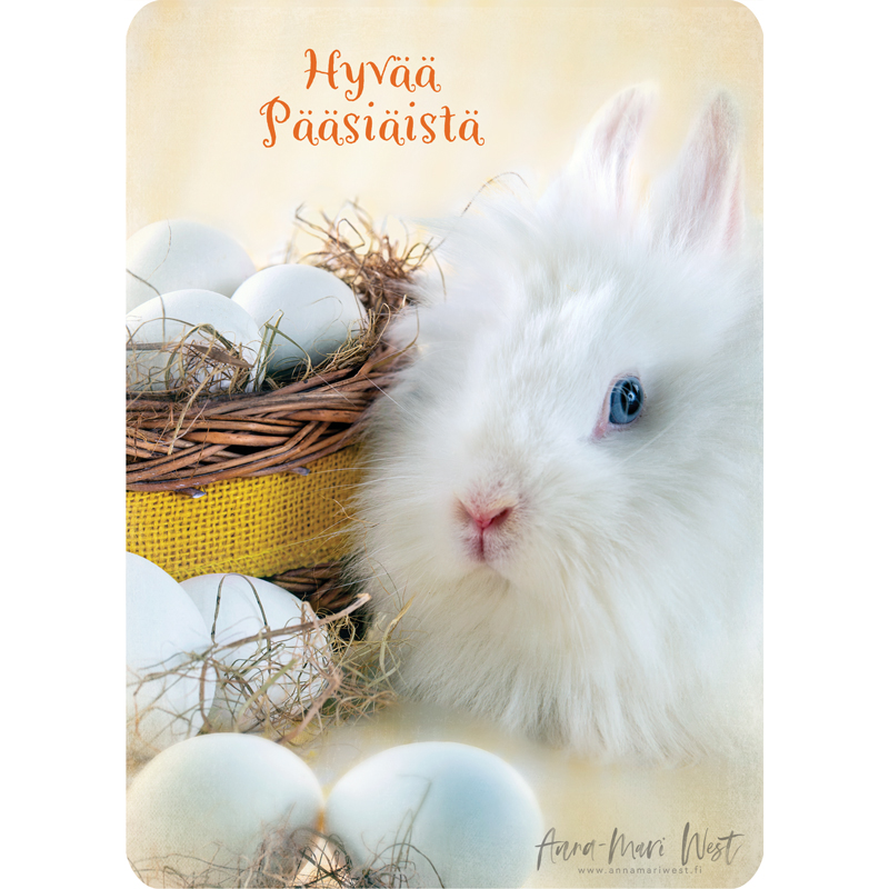 KT7A0376 pupu pääsiäinen muna