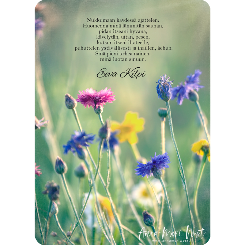 kesä kukkaniitty eeva kilpi