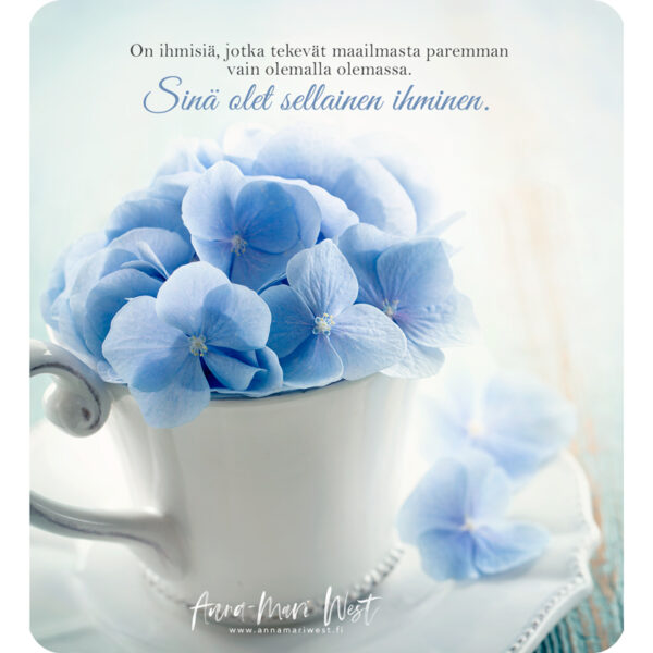 vaaleansininen hortensia kukkakimppu