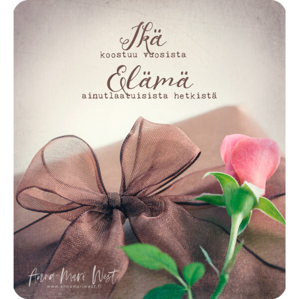 lahjapaketti lahja ruusu onnittelu