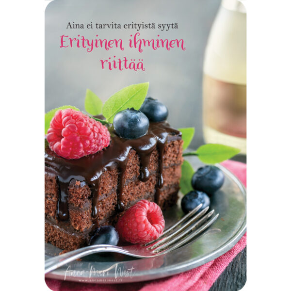 Kakkupala suklaakakku vadelma kuohuviini