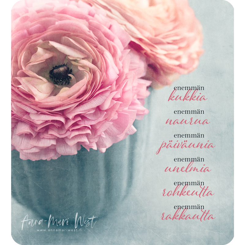 vaaleanpunainen kukka jaloleinikki