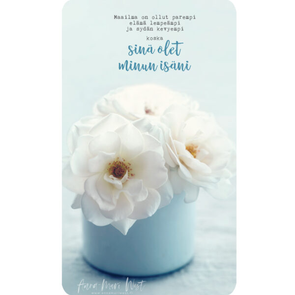 valkoinen ruusu vaaleansininen kimppu