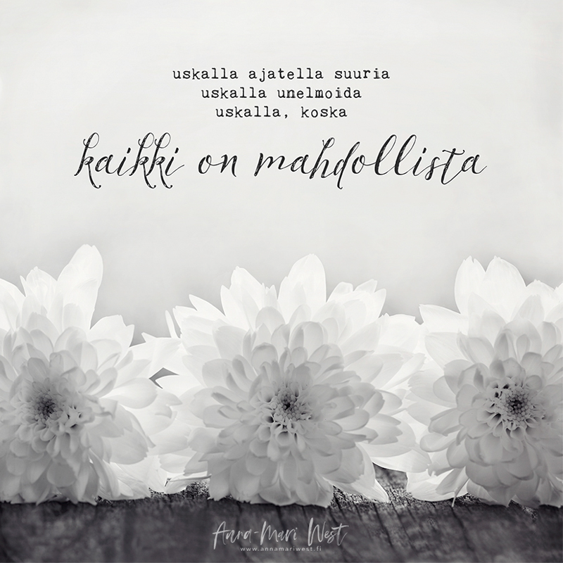 mustavalkoinen kukka