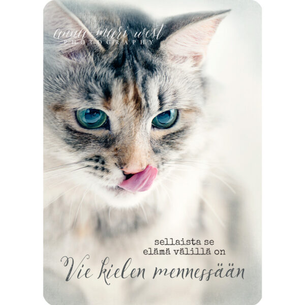 kissa lipoo huuliaan