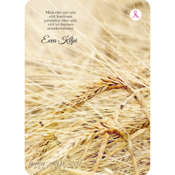 kesä vilja luonto eeva kilpi