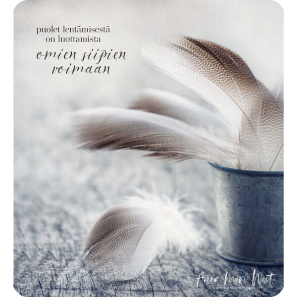 höyhen ruskea kimppu kuppi