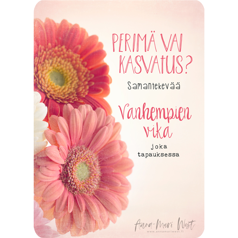 kukka pink vaaleanpunainen