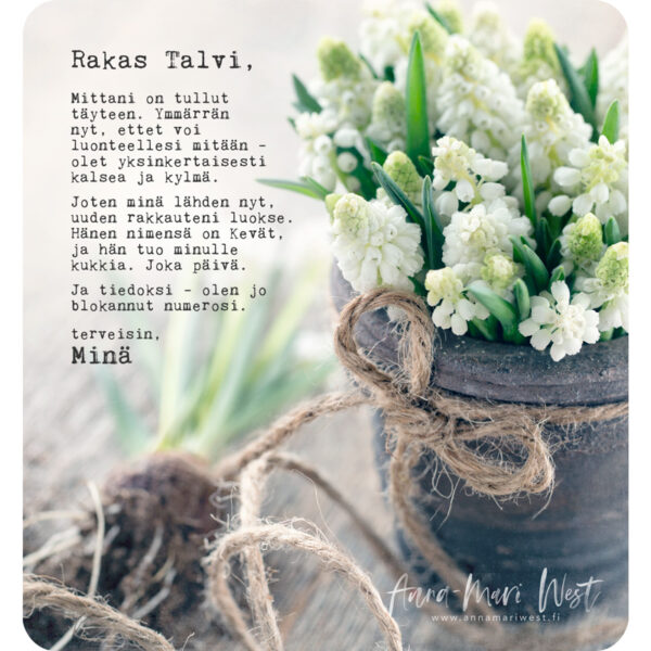 helmililja kevät istutus