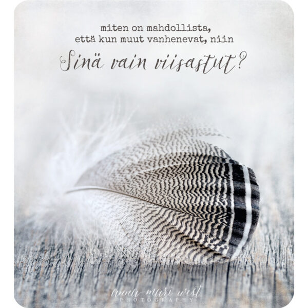 sulka ruskea höyhen puinen tausta