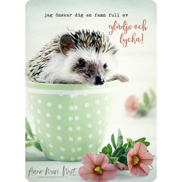 kääpiösiili siili