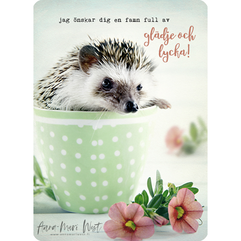 kääpiösiili siili