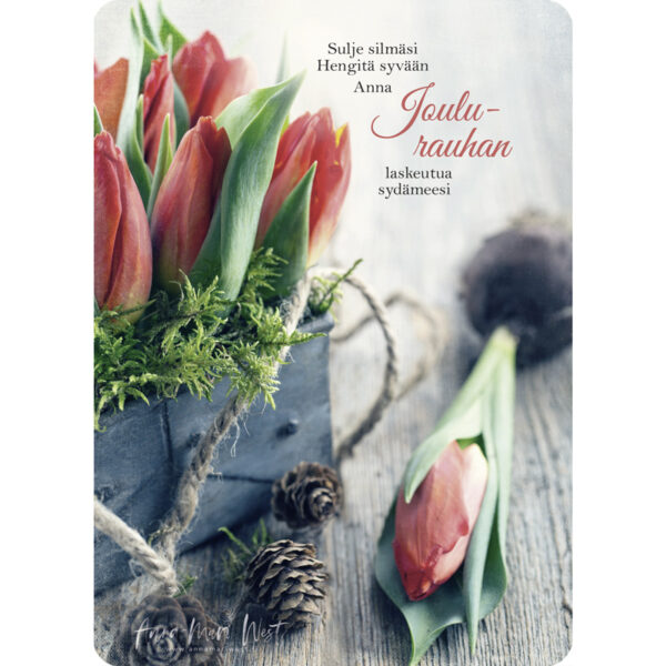 Kortti – Joulutulppaanit