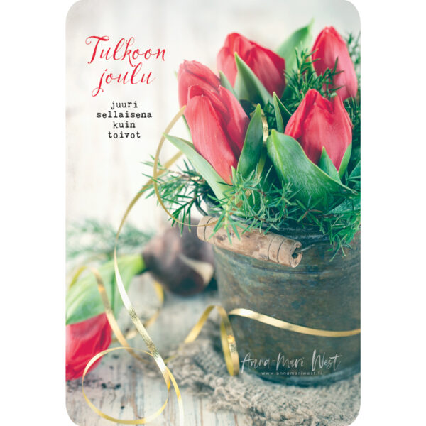 joulutulppaani
