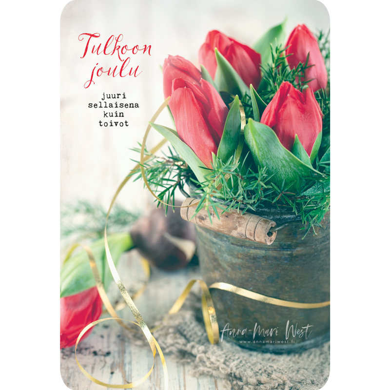 joulutulppaani